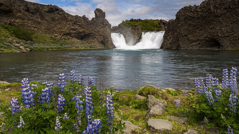 Hafðu áhrif á hvert ferðaþjónustan stefnir á Suðurlandi